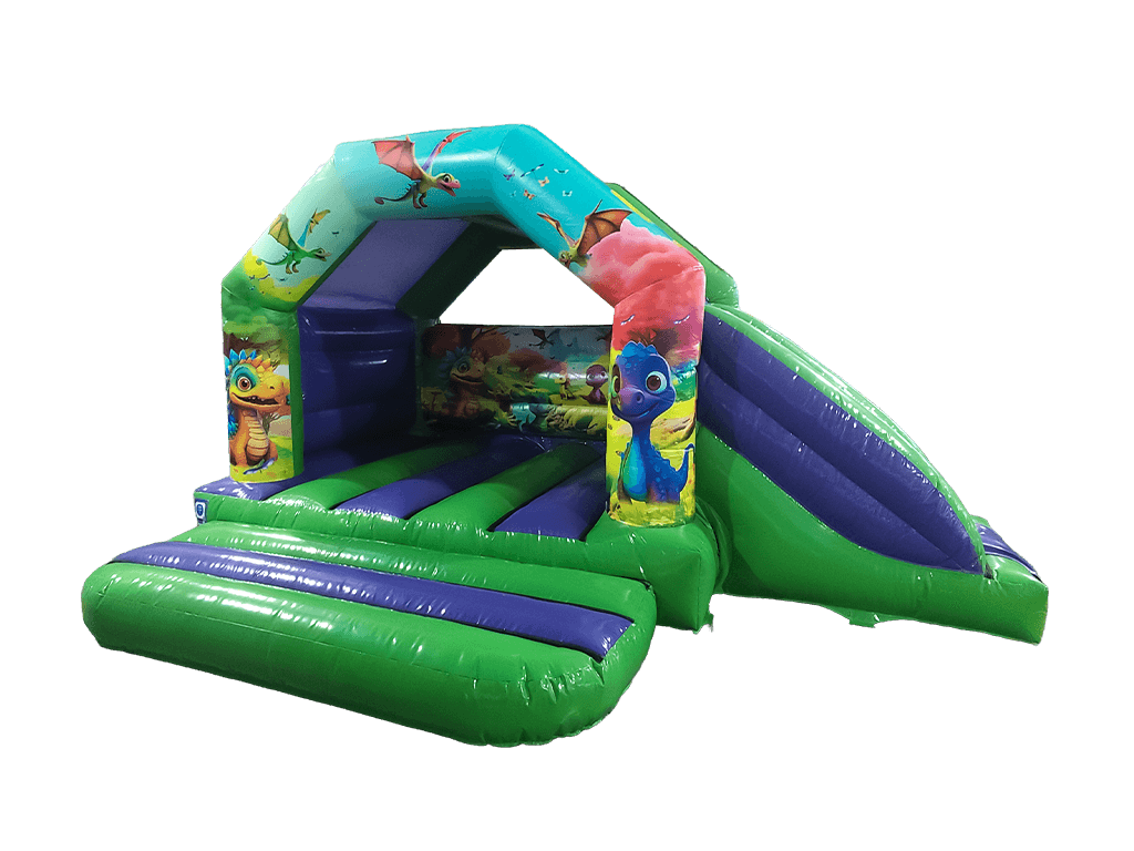 6m x 4m Dinosaur Side Slide Combi