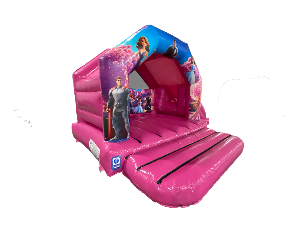 6m x 4m Combi Toboggan Latéral Princesse
