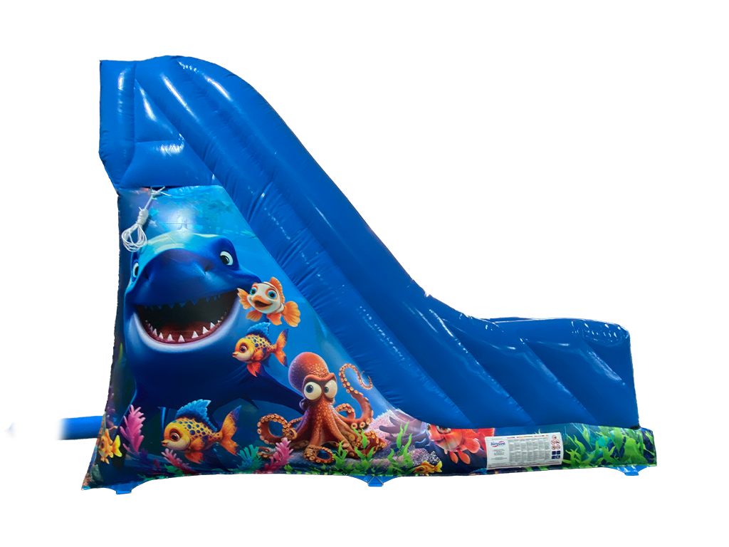 10ft Platform Ocean Slide