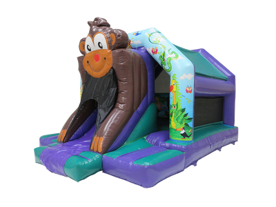 Combi toboggan avant singe