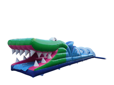 Crocodile Ventry Slide