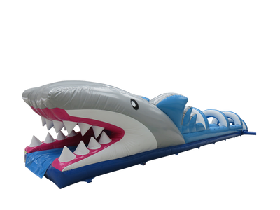 Shark Ventry Slide