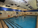 2m Wasserläufer