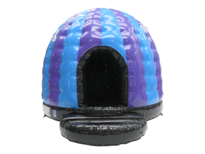 Purple-&-Blue-Standard-Disco-Dome-1