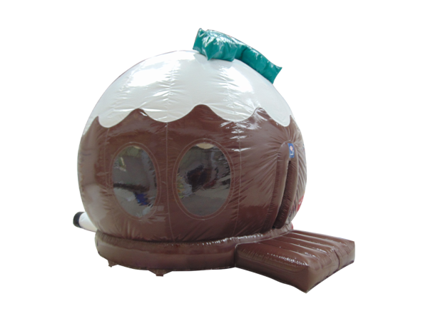 Christmas-Pudding-Dome-3 Christmas-Pudding-Dome-3