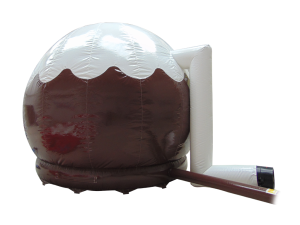 Christmas-Pudding-Dome-6