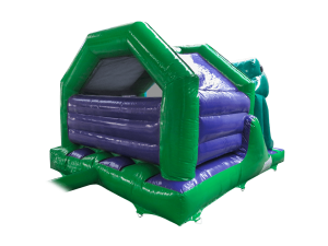 AQ7997 - 15x12ft 3D Dinosaur Front Slide Combi-5