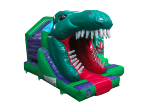 AQ7997 - 15x12ft 3D Dinosaur Front Slide Combi-6